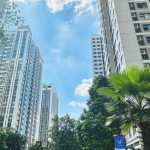 đặt cọc mua chung cư