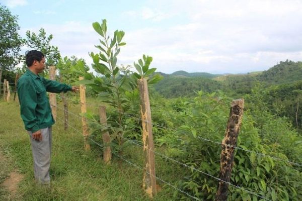khởi kiện tranh chấp đất liền kề