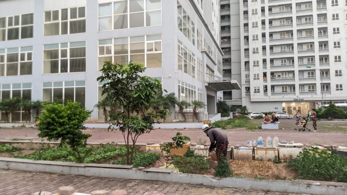 giá chung cư tái định cư